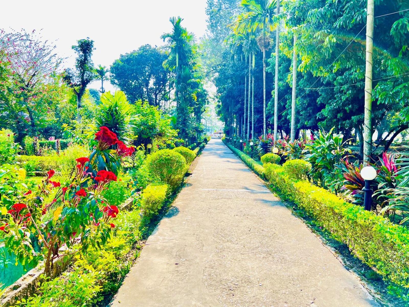 Hotel Hermitage Sauraha Exterior foto