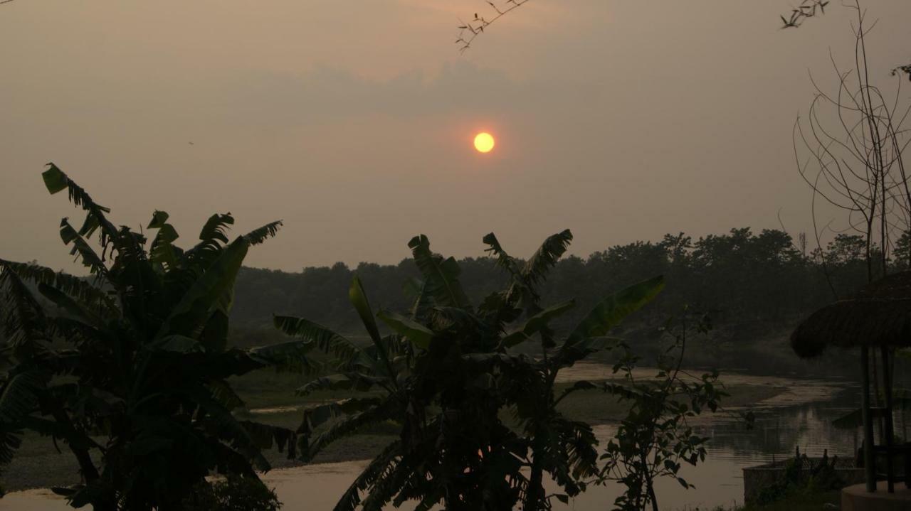 Hotel Hermitage Sauraha Exterior foto